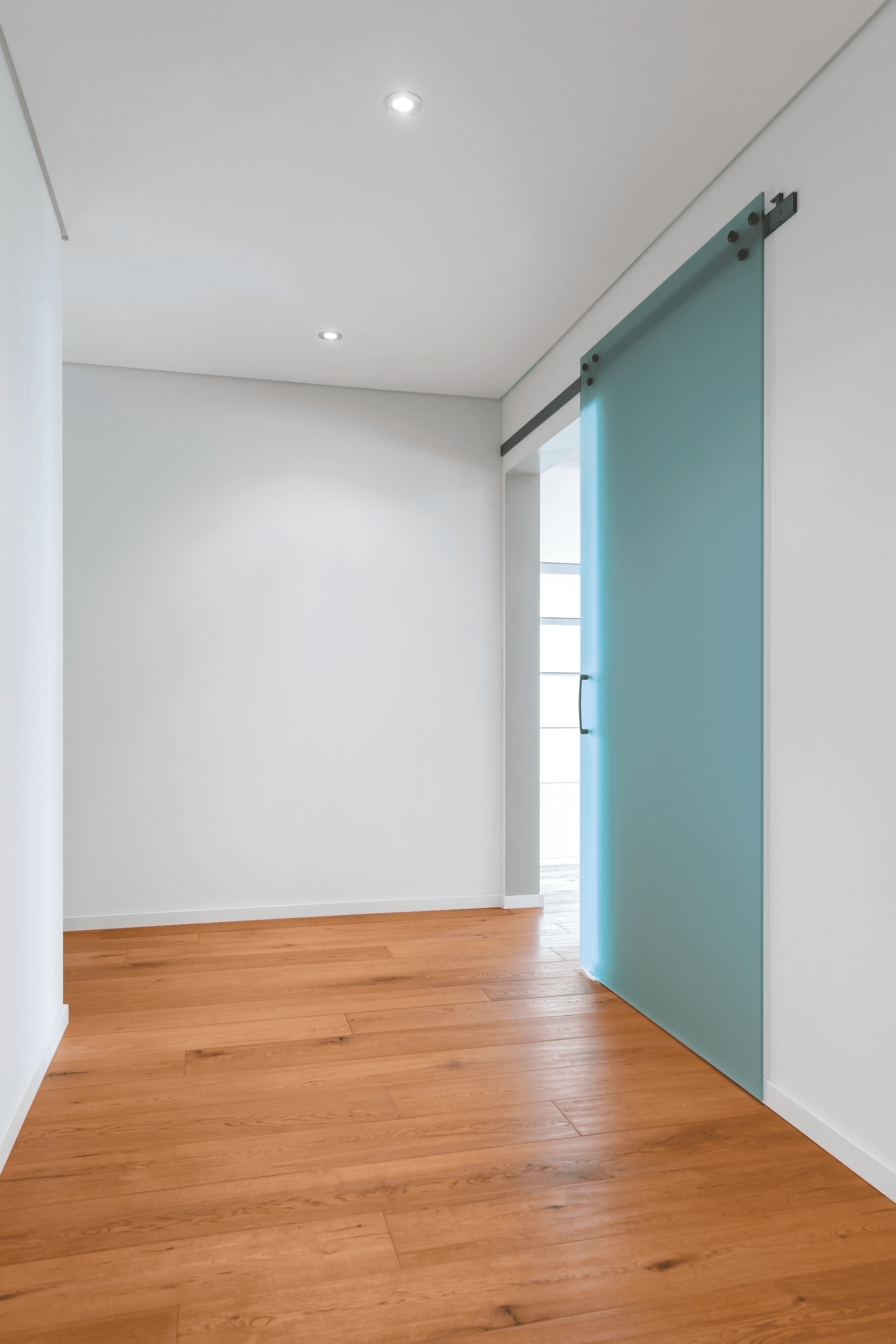 drzwi przesuwne loft z plexi