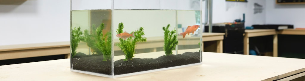 Zelf-een-aquarium-maken-van-plexiglas